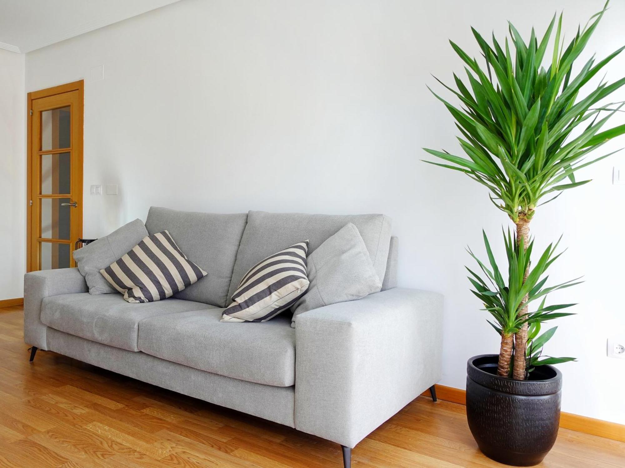 Atalaia Apartment Foz Zewnętrze zdjęcie